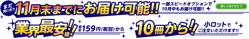 11月末までにお届け可能！