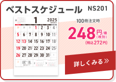 NS201 ベストスケジュール
