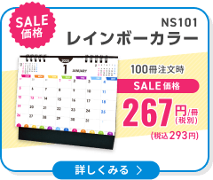 NS101 レインボーカラー