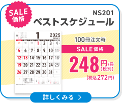 NS201 ベストスケジュール