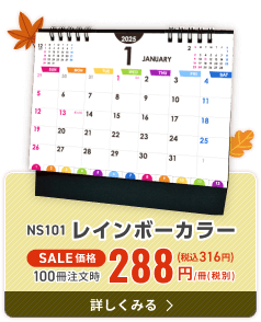NS101 レインボーカラー