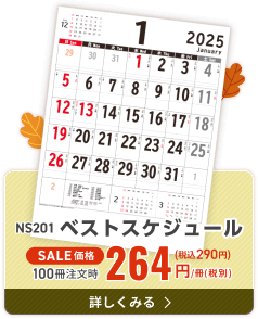 NS201 ベストスケジュール