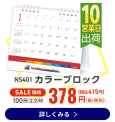 NS401 カラーブロック