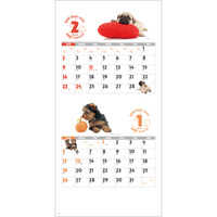 SG143 DOG・DOG・DOG　ミシン目入り【通常7月上旬から出荷開始】 名入れカレンダー