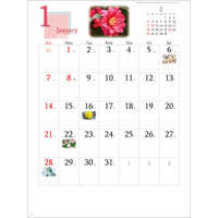 SG293 四季の花もよう 名入れカレンダー