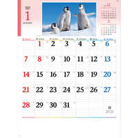 NK104 かわいい動物たち 名入れカレンダー