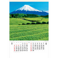 SG546 富士山〈世界文化遺産〉【通常7月上旬から出荷開始】 名入れカレンダー