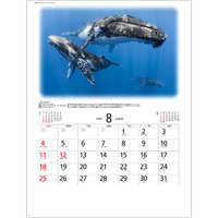 SP84 世界動物遺産 名入れカレンダー