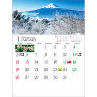 SG290 四季彩花【通常7月上旬から出荷開始】 名入れカレンダー