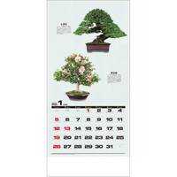 SG350 自然愛〈盆栽〉【通常7月上旬から出荷開始】 名入れカレンダー