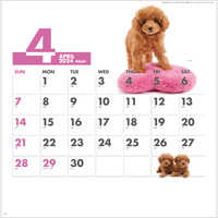 SG172 DOG・DOG・DOG 名入れカレンダー