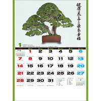 SG278 自然愛〈盆栽〉 名入れカレンダー