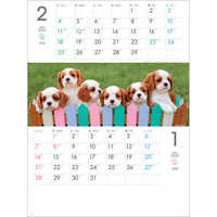 SG197 THE DOGS　ミシン目入り 名入れカレンダー