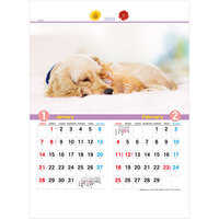 YK730 犬と猫の散歩道 名入れカレンダー