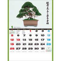 SG278 自然愛〈盆栽〉【8月上旬以降出来次第出荷】 名入れカレンダー